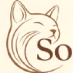 cropped-soulfullogo-min.png